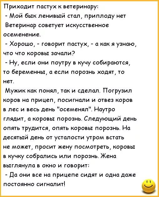 Анекдоты ветеринара. Смешной анекдот про ветеринара. Анекдот про корову. Смешные шутки про ветеринара. Анекдот про врача и ветеринара.