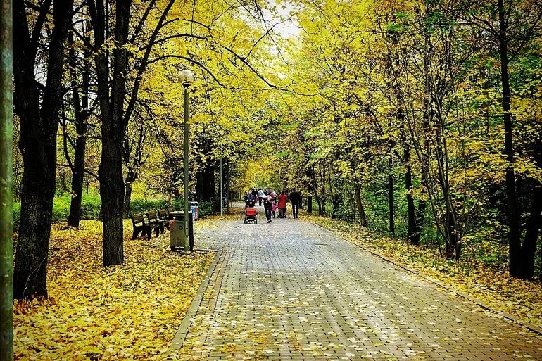 Северное тушино форум. Парк Северное Тушино осень. Парк Северное Тушино осенью. Южное Тушино осенью. Парк парк Тушино.