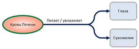 Взаимосвязь почек и печени