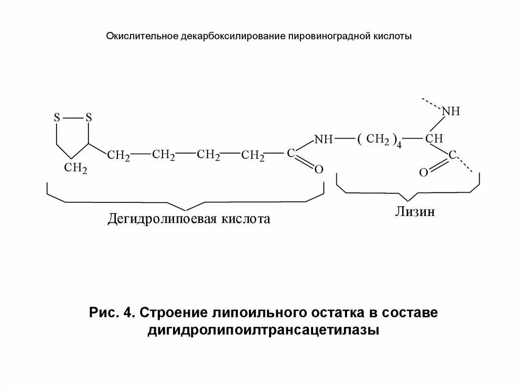 Декарбоксилирование пировиноградной кислоты. Декарбоксилирование пировиноградной кислоты реакция. Декарбоксилирование ПВК реакции. Ферментативное декарбоксилирование яблочной кислоты.