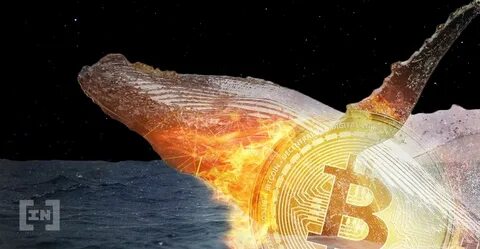 Whales wallet