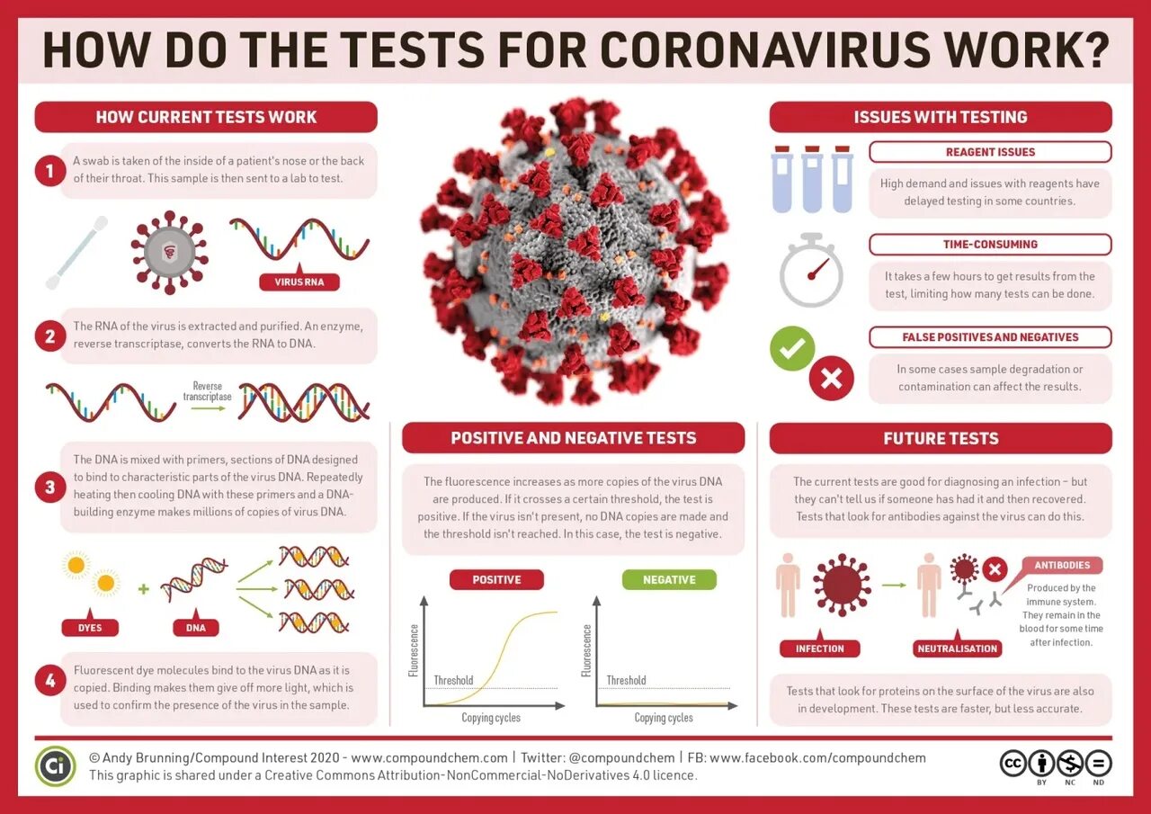The virus can be. Инфографика вирусы. Инфографика коронавирус симптомы. Коронавирус инфографика. Последствия коронавируса.