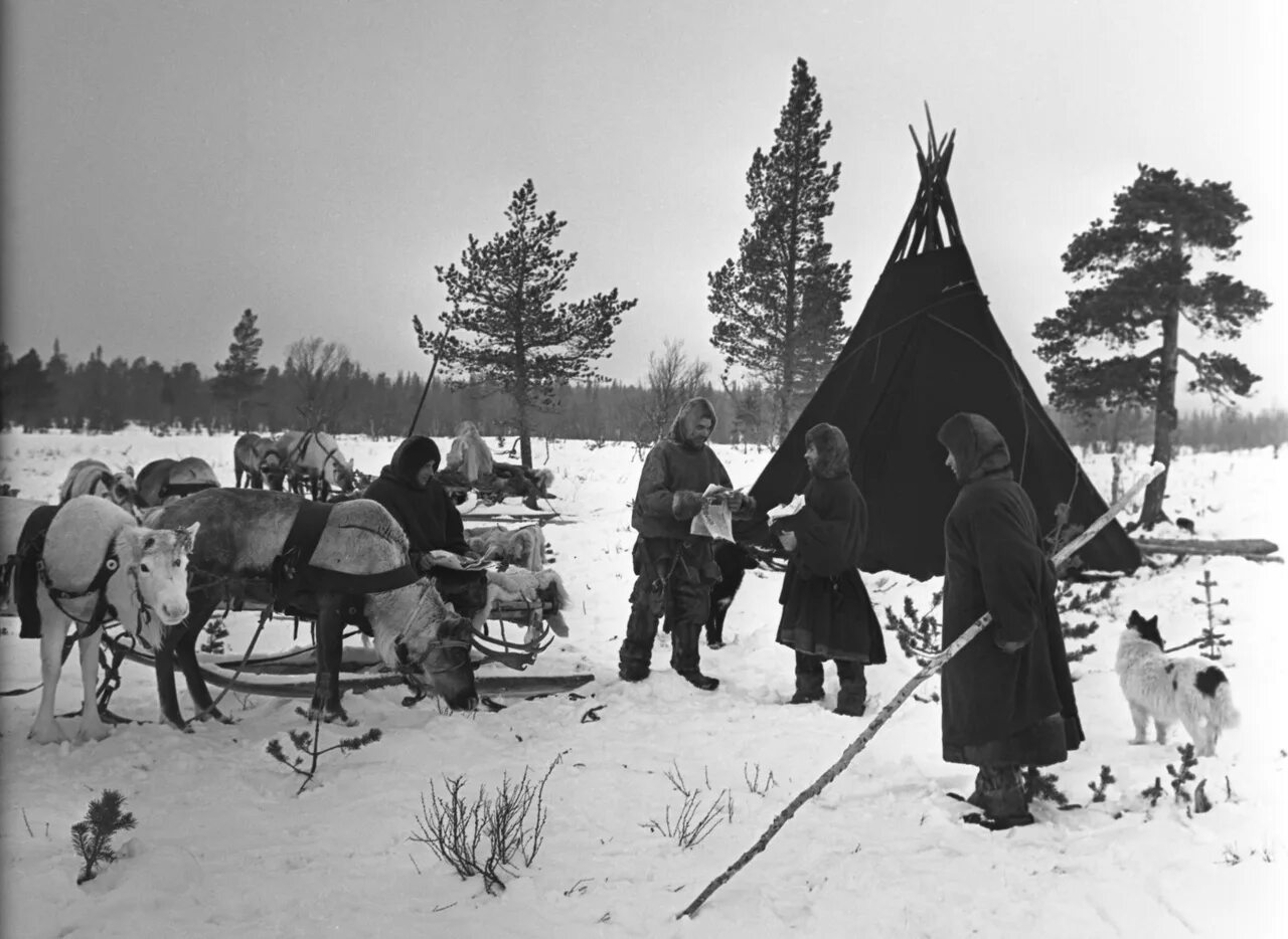 Исконные жители. Саамы Кольского полуострова. Аамы оленеводы. Саами Кольский полуостров. Лопари Кольского полуострова.