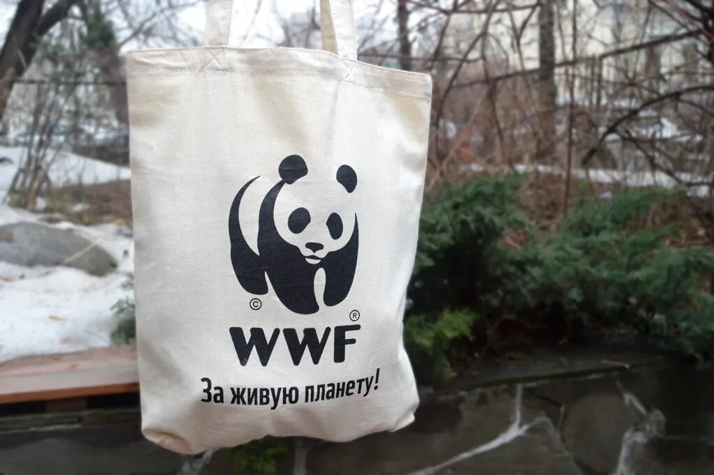 Всемирный фонд дикой природы WWF России. Фонд WWF. Фонд дикой природы в России. Фонд защиты природы в России.