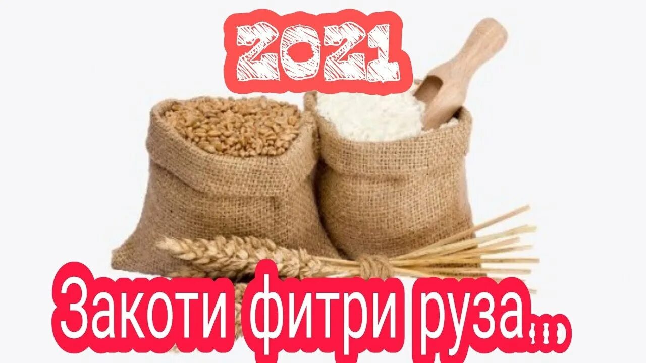 Фитри Руза. Ченаки фитри Руза. Фитри Руза 2023. Фитр Руза. Фитри руза 2024