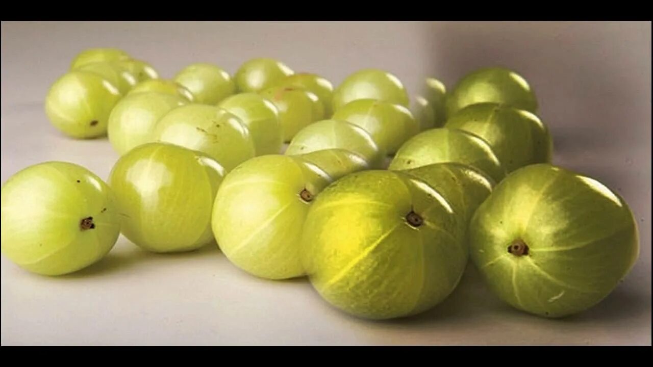 Лидер Продаж,Порошок Amla,100% Чистый Экстракт,Индийский Гусиный Ягоды,Производи