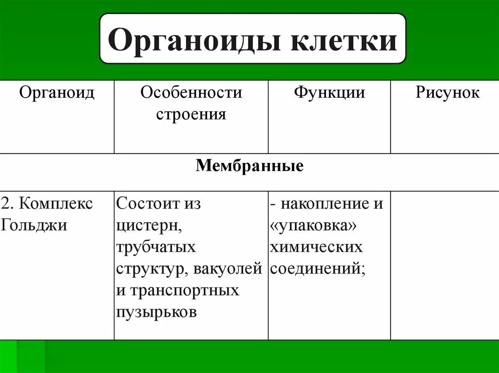 Мембранные органоиды строение и функции таблица. Мембранные органоиды строение и функции. Мембранных органоидов функции строение и функции. Строение клетки мембранные органоиды и их функции.