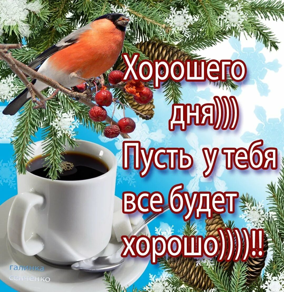 Хорошего морозного дня и отличного настроения. Доброго зимнего утра и хорошего дня. зимние поздравления с добрым утром. пожелания с добрым зимним утром. открытки с добрым утром зимние.