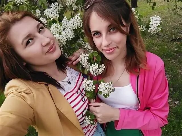 Шпак ростов на дону. Шпак ростов на дону