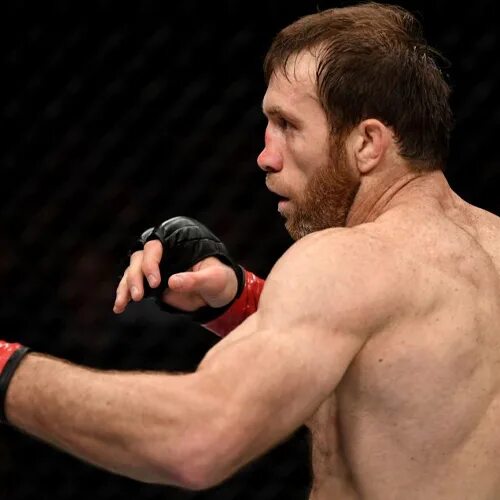 Ислам бегидов боец. Алиев боец ufc. Ахмед алиев фото. Ахмед алиев диего брандао. Алиев боец мма.