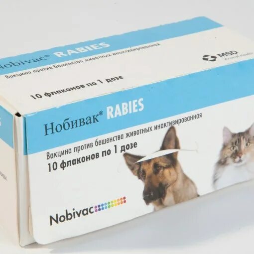 Нобивак от бешенства для собак. Нобивак Rabies для кошек. Вакцина Нобивак для собак. Нобивак вакцина для собак 3 месяца-. Нобивак с бешенством для собак купить