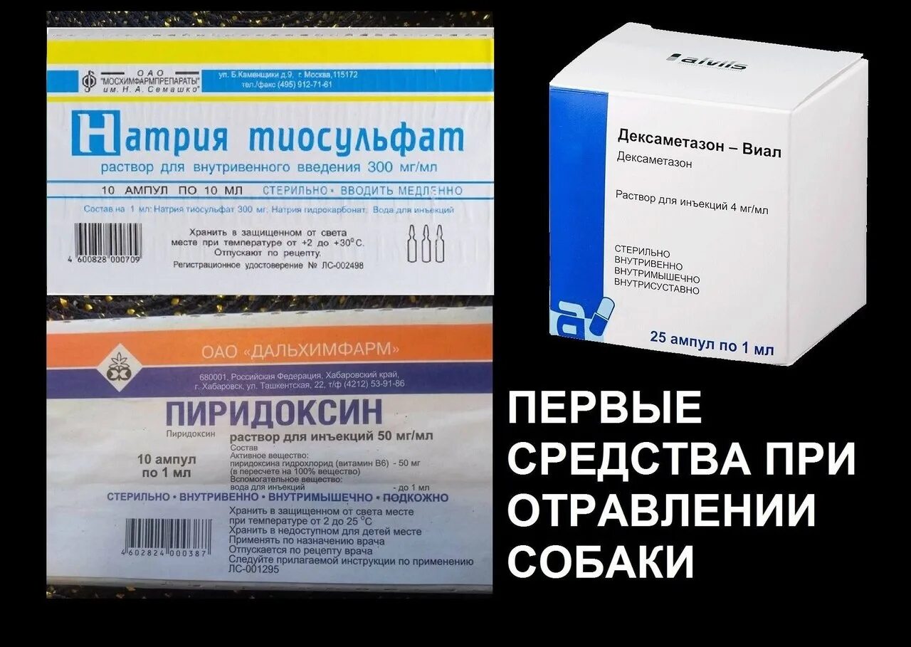 Препараты от отравления для собак. Уколы при отравлении препараты. Таблетки от отравления для собак. Таблетки для собак при отравлении. Какой отравой можно