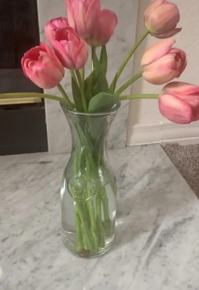 Сколько воды наливать тюльпанам в вазе. Аспирин для цветов в вазу. Тюльпаны в гидрогеле. Тюльпаны в вазе из ангидрида камень. Ваза с цветами аспирин.