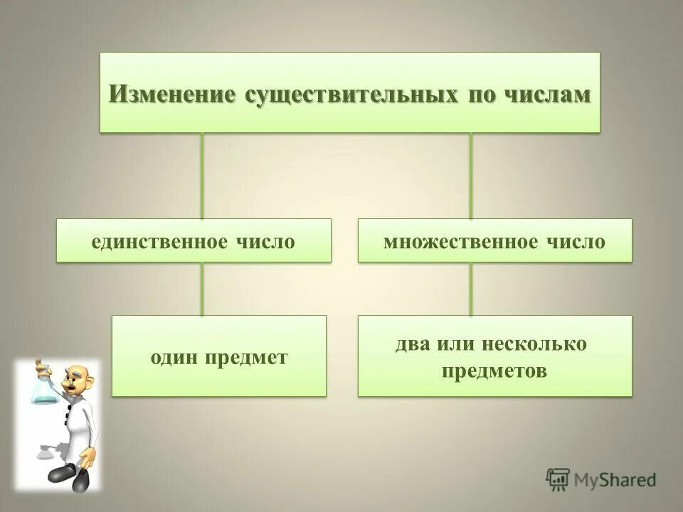 Признаки изменения существительных. Изменение существительного по числам. Изменение существительных по числам задание. Изменить существительное по числам. Изменение сущ по числам задания.