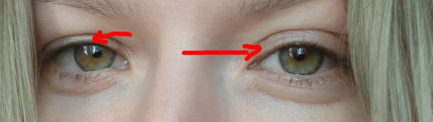 I can't draw a symmetrical face - Questions - Tapas Forum