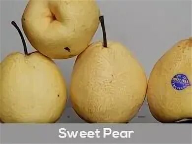 Sweet pear. Груша сорт Селина ЮАР. Груша Свит. Шоколадная груша сорт в разрезе. Артикул Amilly Pear.