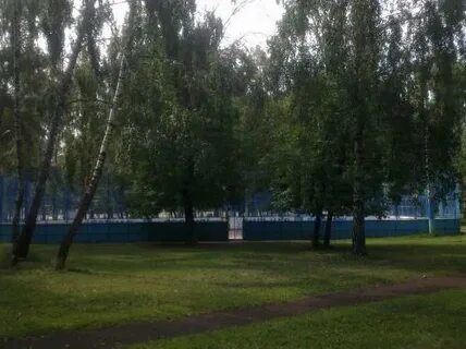 Березовая роща поезд