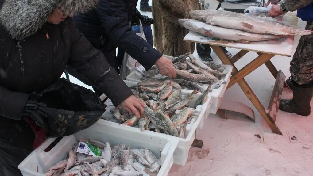 Омский рыбный рынок. Окунь на рынке. Рыба в Омске. Рыбы Омской области. Первомайск омск