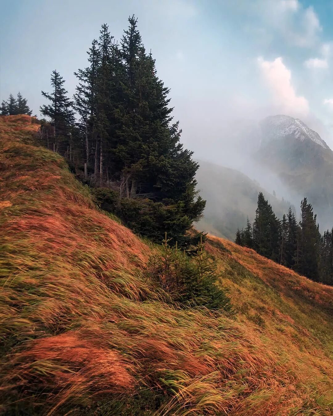 заметный прекрасный. фотосессия в воде. пространство природа. мужчина фотографирует. стих я буду ждать тебя.