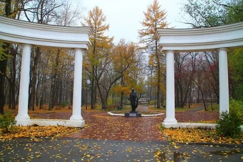 Одноклассники березников