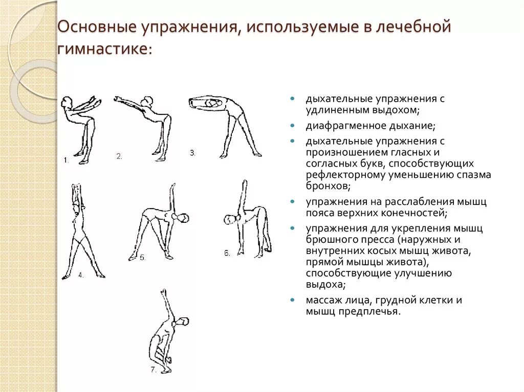 Как называется гимнастические упражнения. Упражнения основной гимнастики. Базовые гимнастические упражнения. Основные упражнения в гимнастике. Основные упражнения на физкультуре.