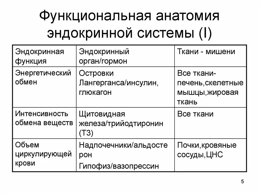 Классификация гормонов эндокринной системы. Эндокринная система структура и функции. Эндокринный орган-мишень для гормонов щитовидной железы:. Органы мишени гормонов щитовидной железы.