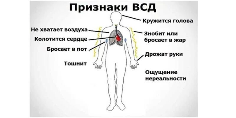 Почему потеет взрослый мужчина