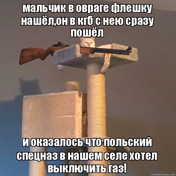 твои кенты в овраге лошадь