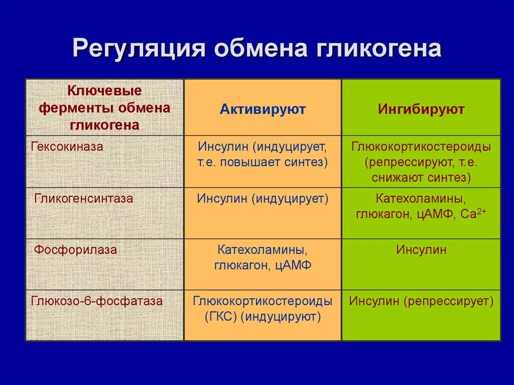 Какие гормоны регулируют обмен веществ. Ключевые регуляторные ферменты обмена гликогена. Регуляция ферментов обмена гликогена. Синтез гликогена. Ферменты, регуляция.. Гликогенолиз регуляция.