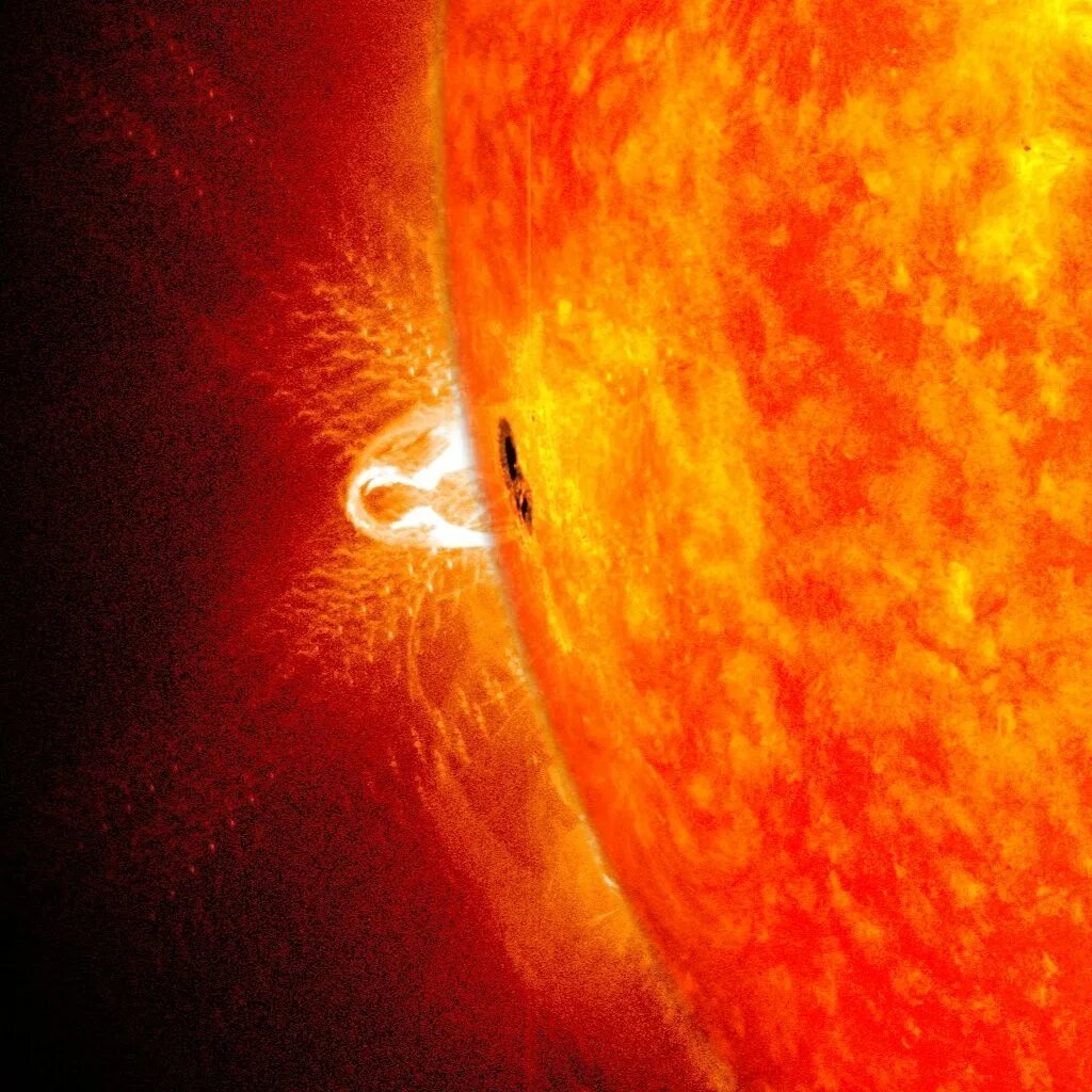 Sun processing