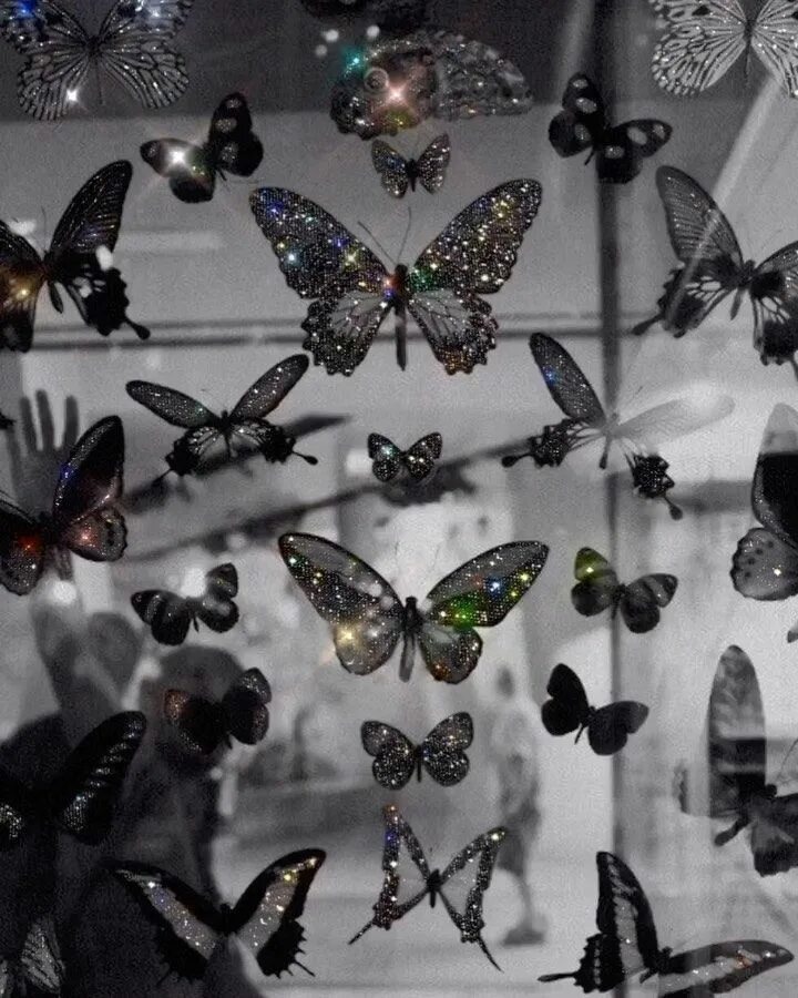 Появление темных бабочек в промышленных. Бабочки Эстетика. Эстетика бабочек черных. Черно белые бабочки Эстетика. Черные бабочки на стену.