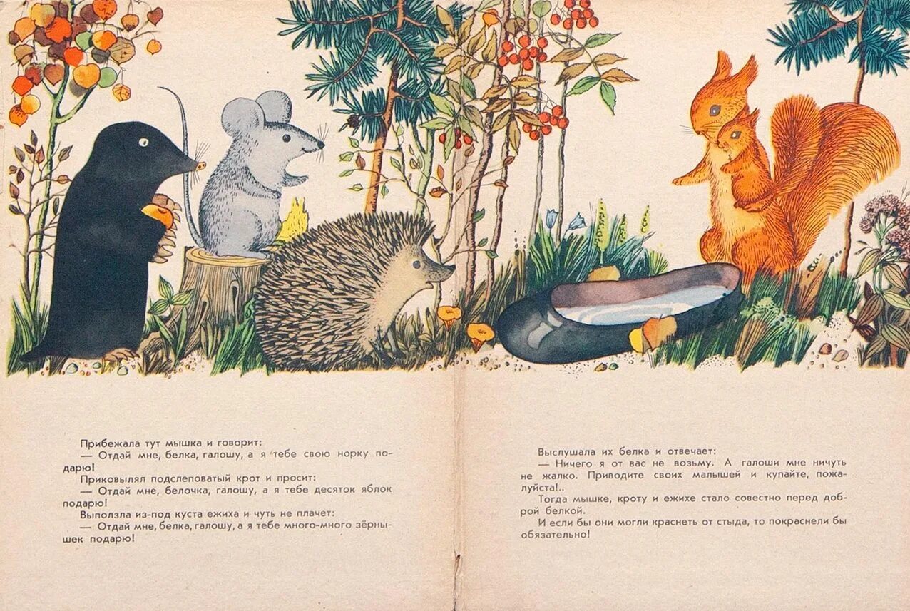 Проблематика галоша. Проблематика галоша. Проблематика галоша. Галоша зощенко рисунок. Проблематика галоша.