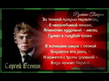 За темной прядью перелесиц