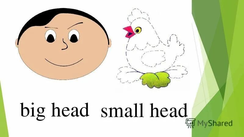 Small big com. Big small. Small head. Big small head. Английский big small.