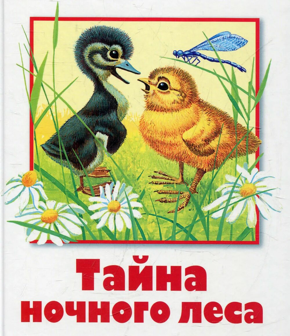Рассказ бианки тайна ночного леса. Вести из леса бианки сладков. Бианки в. Вести из леса бианки. Тайна ночного леса бианки раскраска.