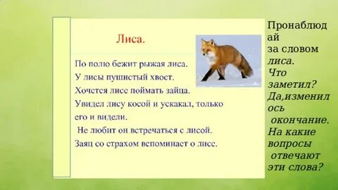 Лисий словосочетания