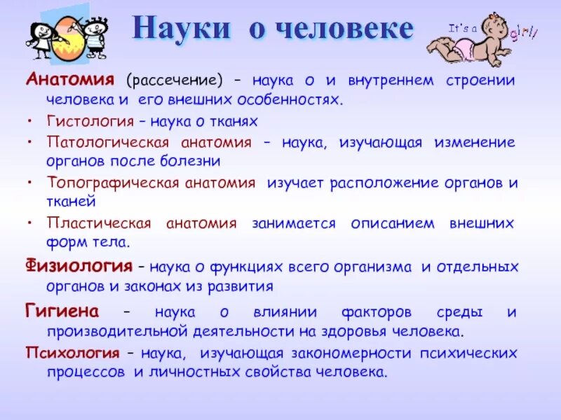 Зачем науки о человеке. Науки о человеке. Науки изучающие человека. Люди наука о человеке. Науки о человеке биология.