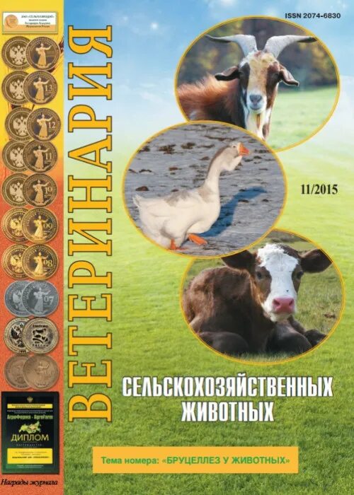 Амбулаторный журнал ветеринария. Журнал ветеринария сайт. Ветеринарные дневники. Журналы в ветклинике. Журналы ветврача.