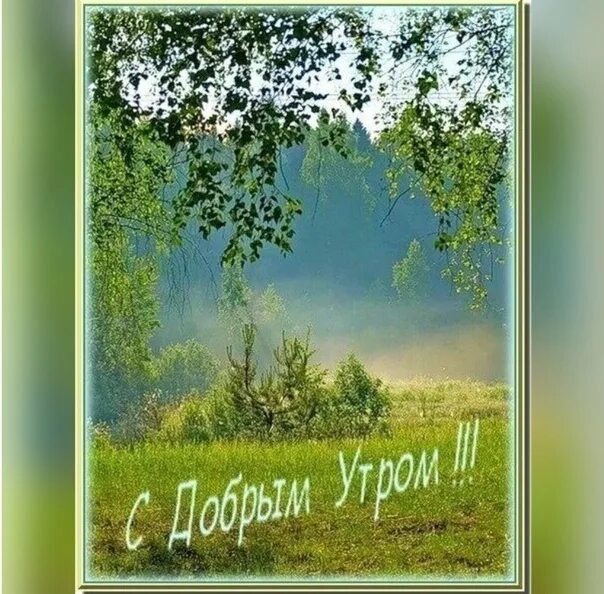 Открытки доброго утра хорошего дня с природой