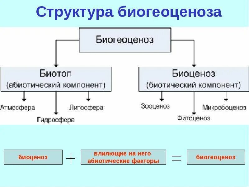 Составляющие биологии