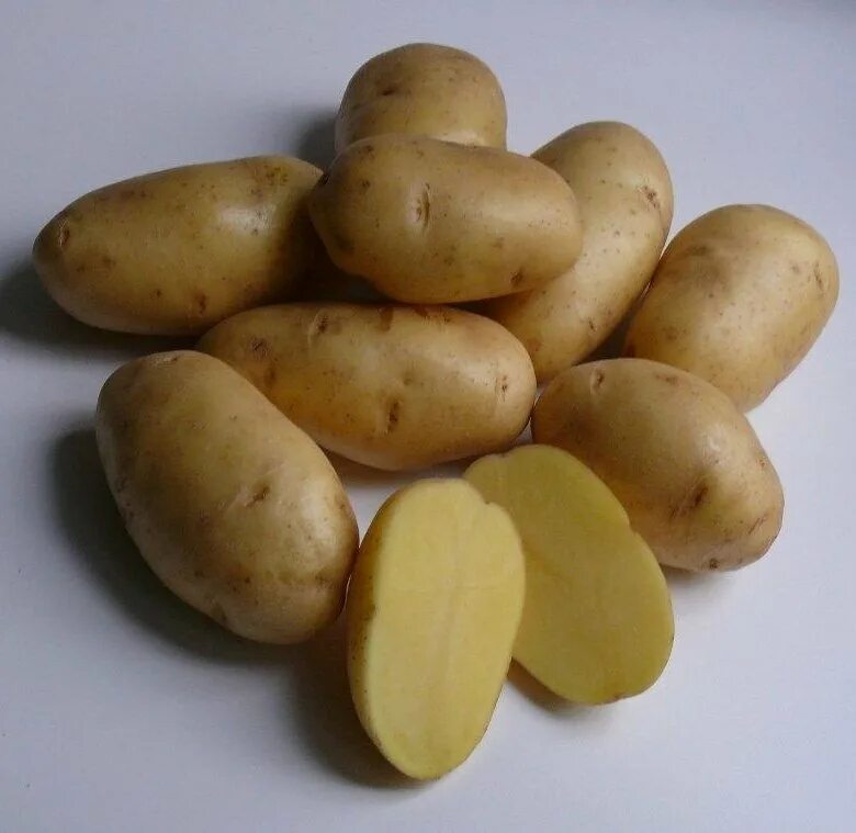 Картофель семенной элита купить в розницу. Сорт картофеля Импала. Семенной картофель. Сорт Гала. Картофель спорт Импала. Картофель семенной Импала.
