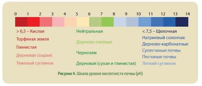 Какие почвы любят овощи. Шкала PH почвы кислотности почвы. Кислотность почвы таблица PH. Шкала кислотности почвы для овощей. Кислотность почвы 5,5-6,2.?.