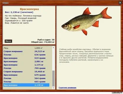 После грозы хорошо клюет рыба