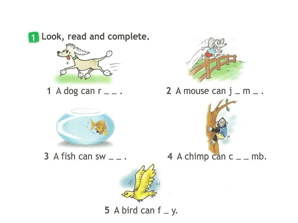 A chimp can sing. Задания по английскому языку i can. Задания Spotlight 2 класс. Английский look read and complete. Задание по английскому look and complete.