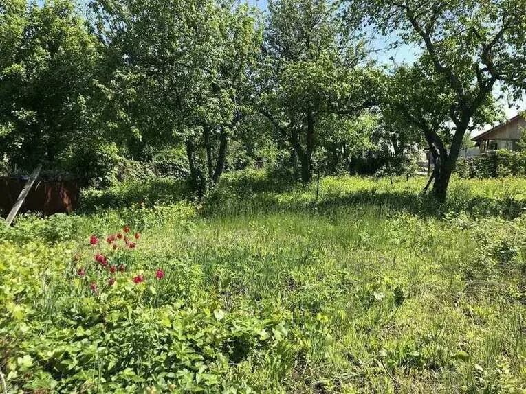 на даче. подмосковные дачи. дача 5х8. дача по каширскому шоссе. сад дача по московскому шоссе нижний новгород.