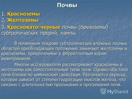 Почвы субтропического пояса