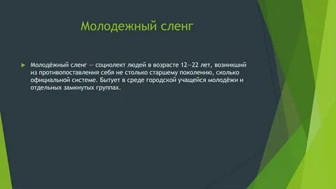 Жаргонизмы и профессионализмы презентация