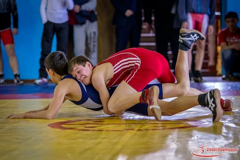 греко римская борьба владивосток