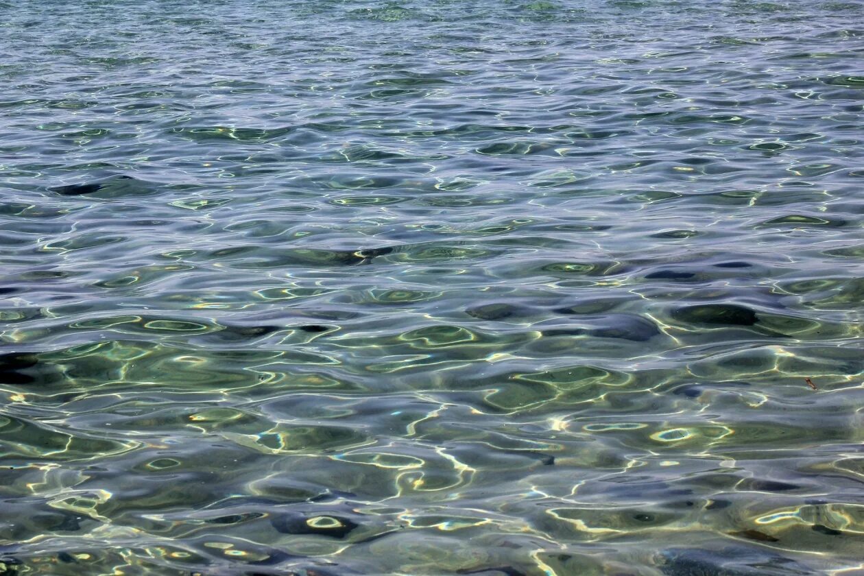 Вод на южном 5 на. Озеро Лагуна Буссе. Лагуна Буссе природный парк. Прозрачное черное море. Охотское море прозрачность воды.