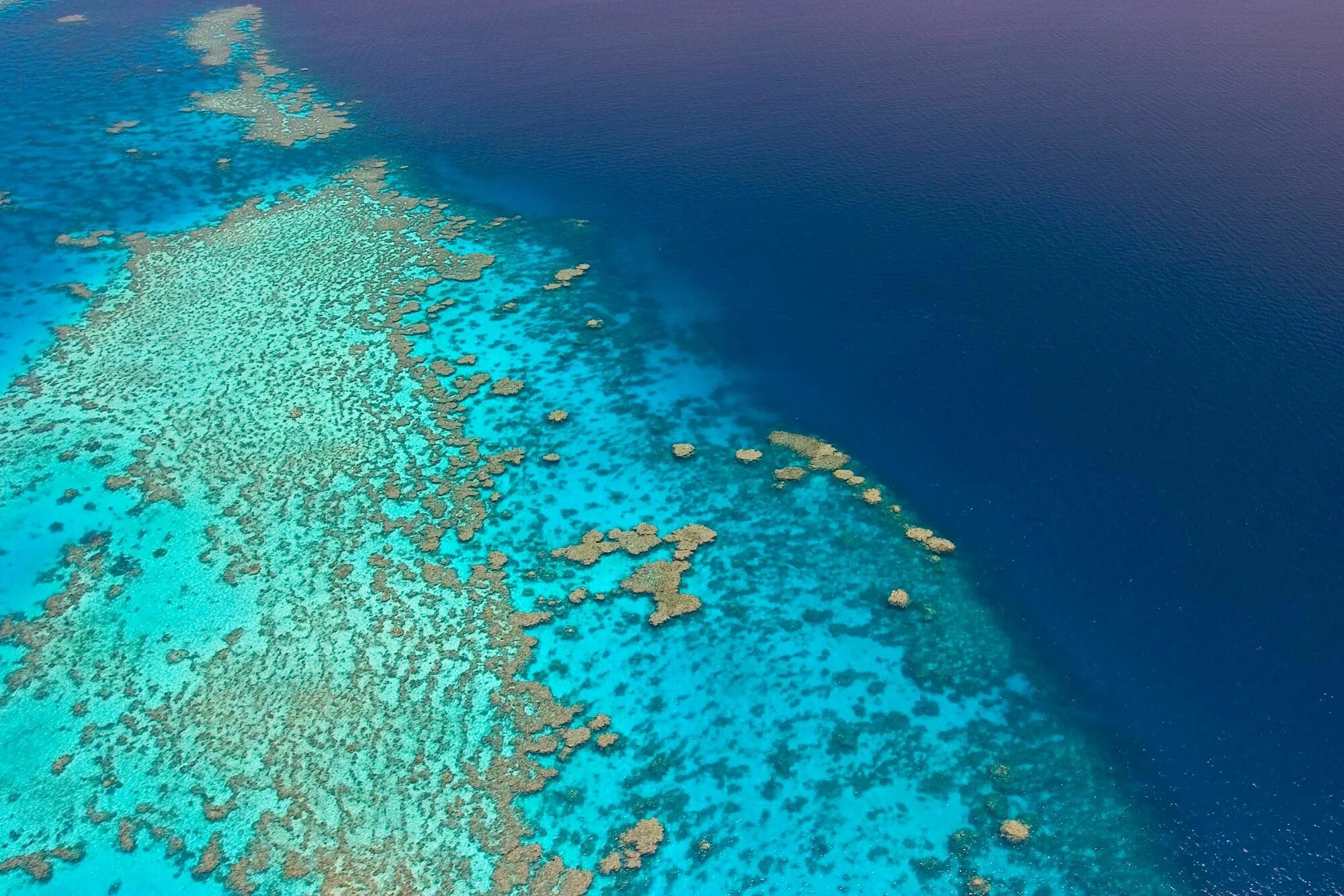 Полуостров мирового океана. Рифы Греат барьер. Great Barrier Reef Marine Park. Кэрнс (большой Барьерный риф). Большой Барьерный риф координаты.
